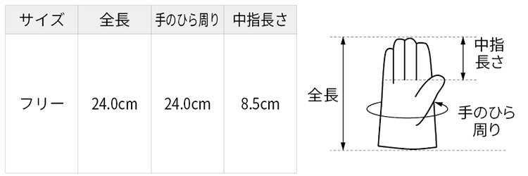 サイズ表