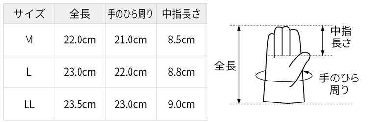 サイズ表