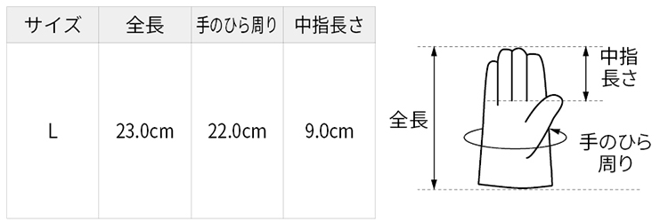 サイズ表