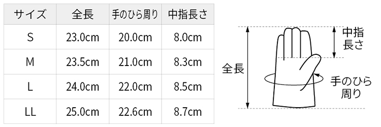 サイズ表