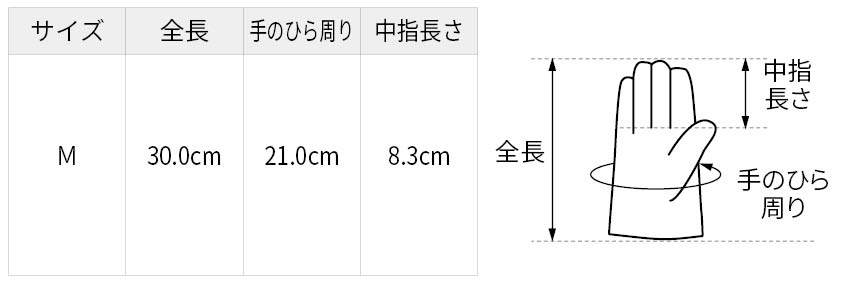 サイズ表