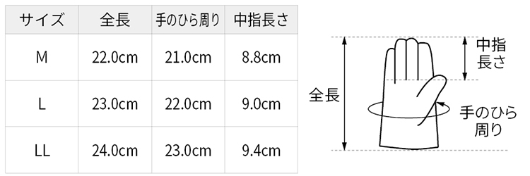 サイズ表