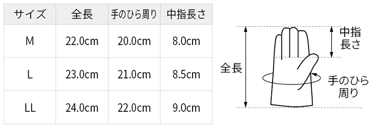 サイズ表