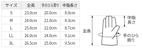 サイズ表