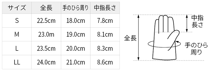 サイズ表