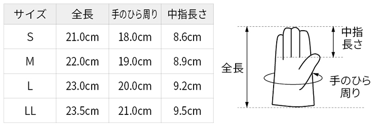 サイズ表