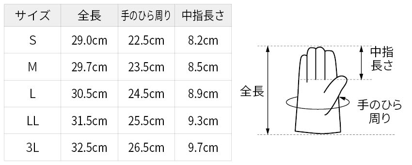 サイズ表