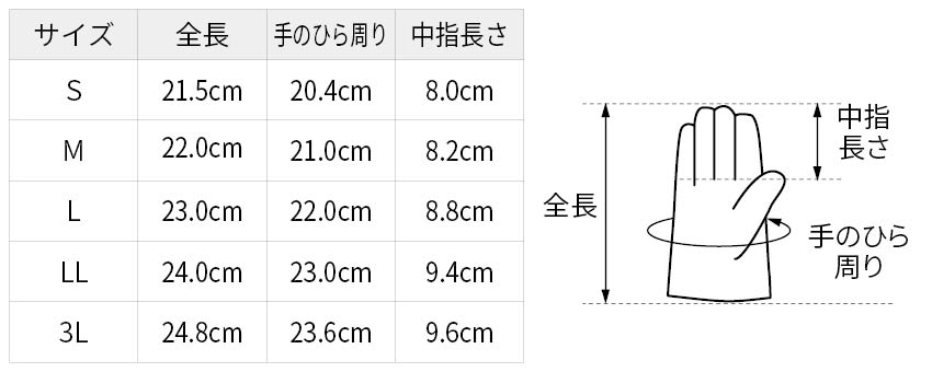 サイズ表