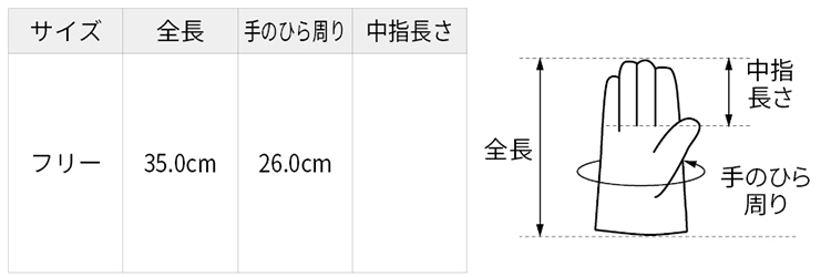 サイズ表