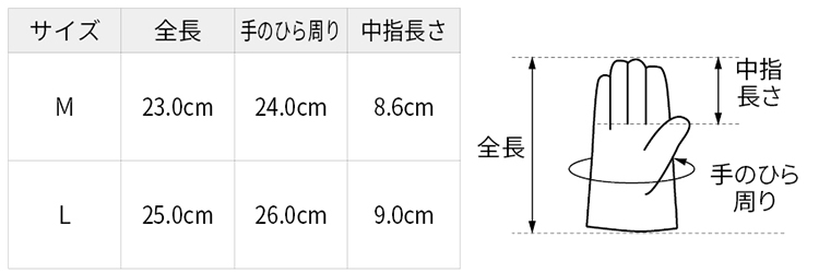 サイズ表