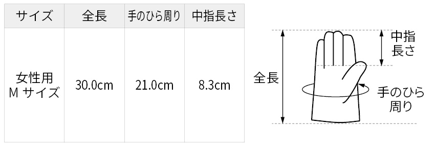 サイズ表