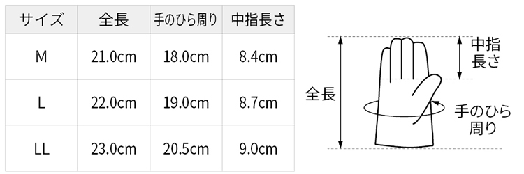 サイズ表