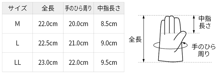 サイズ表