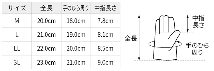 サイズ表