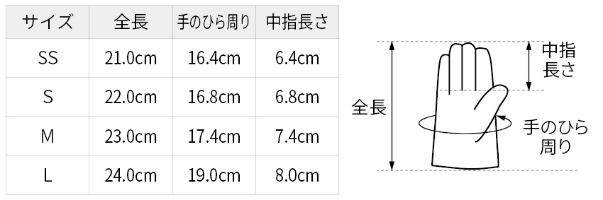 サイズ表