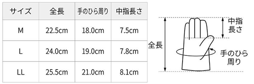 サイズ表