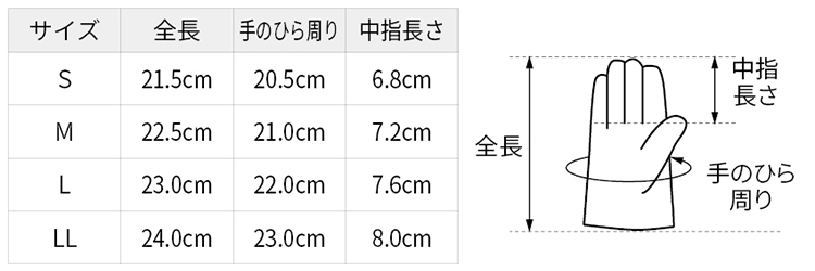 サイズ表