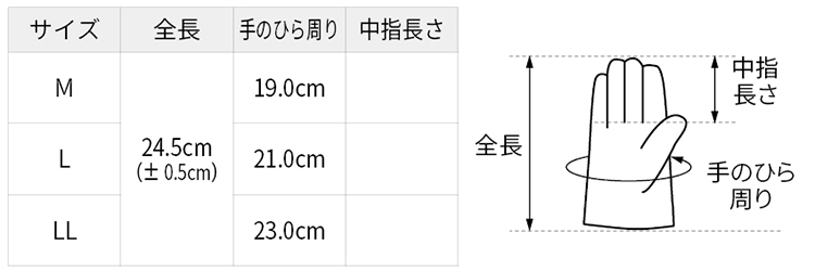 サイズ表