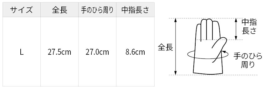 サイズ表