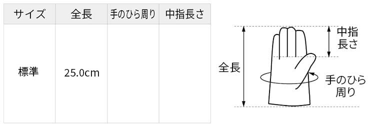 サイズ表