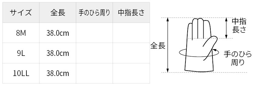 サイズ表