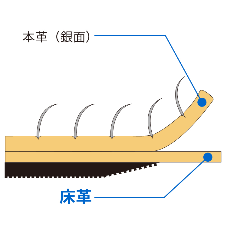 牛床革